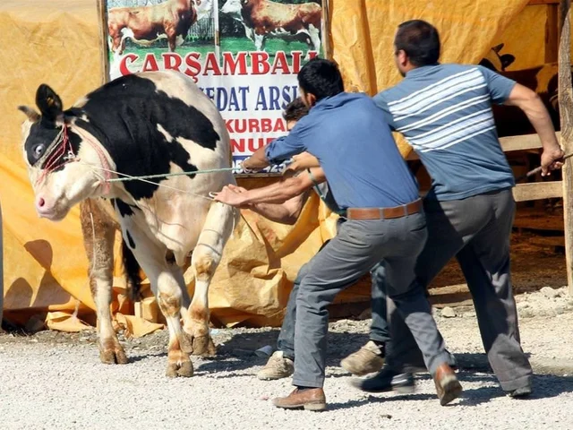 Türkiye'deki eskort endüstrisi: İnsan kaçakçılığının bir kurbanı mı?